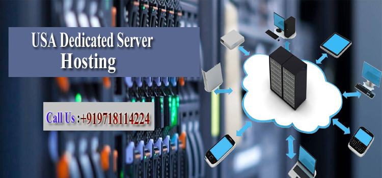 USA Dedicated Server Hosting