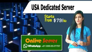 USA Dedicated Server